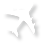 plane